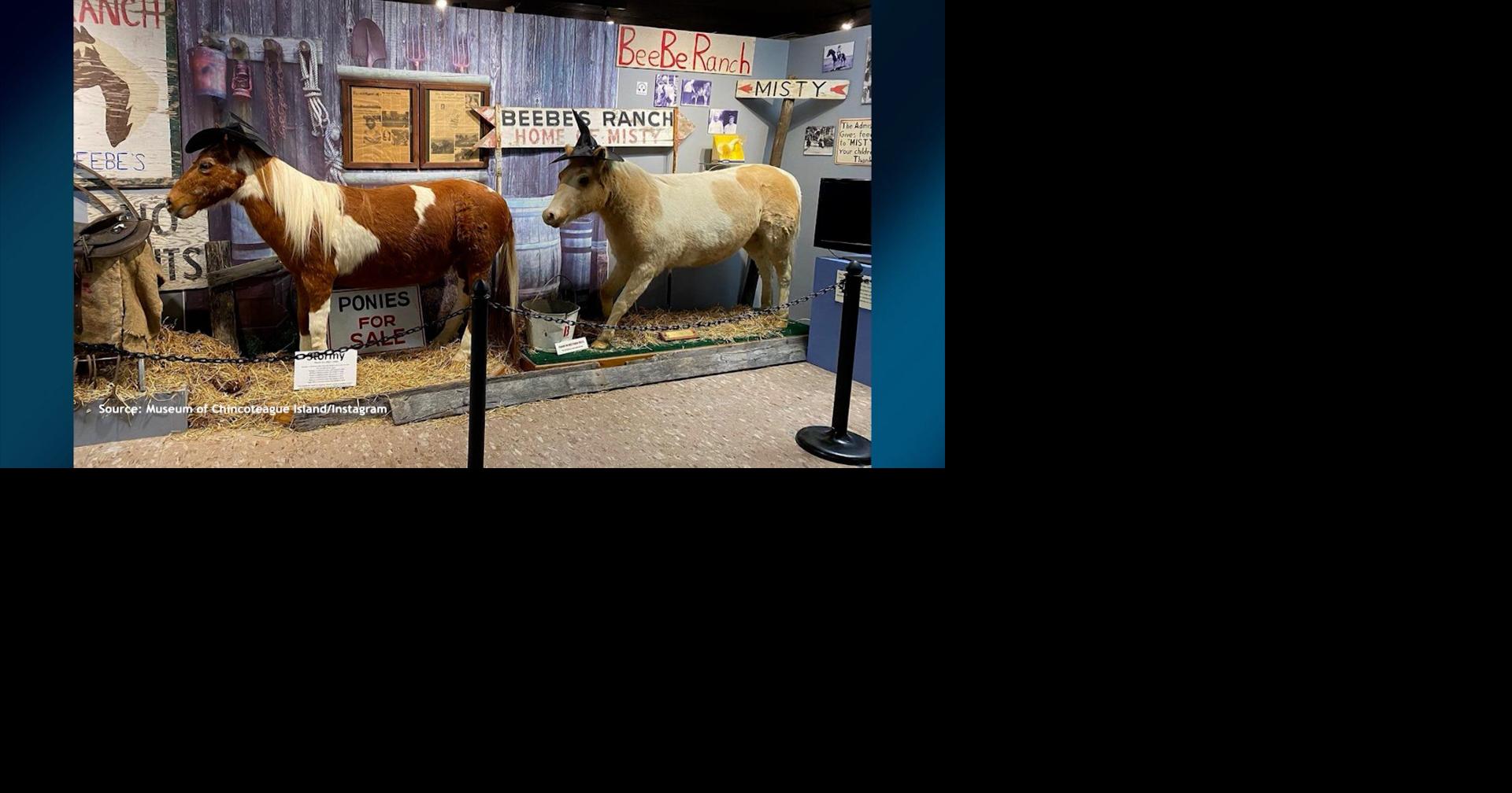 We Learn About All The New And Improved Things Happening At The Museum ...