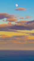 Sometimes-we-forget-that-we-can-see-the-moon-much-earlier-with-the-time-change-a-look-into-the-Atlantic-Ocean-at-sunset-586×1024