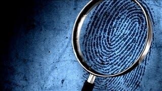 Berlin Death Investigation