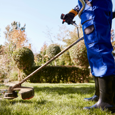 Zazueta Landscape: Los Altos' Landscaping Experts