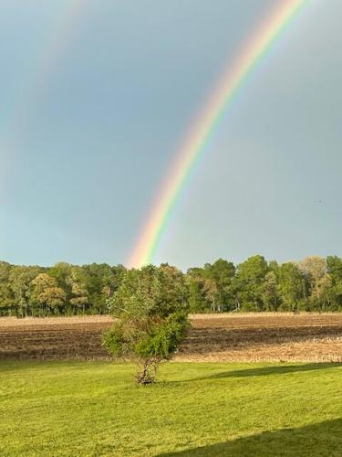 Rainbow in Milton