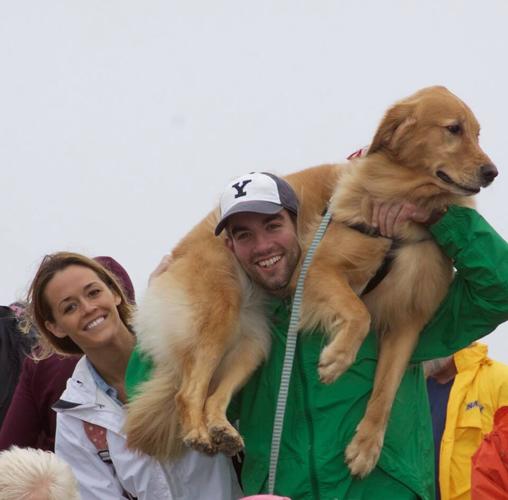 14519851_648616658645385_6523135279537309291_n