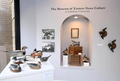 Museum of Eastern Shore Culture