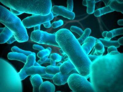 Bacteria Advisory at Tyaskin Beach
