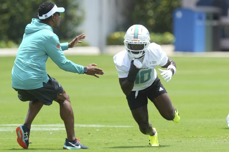 Dolphins Football