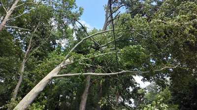 Talbot County storm damage