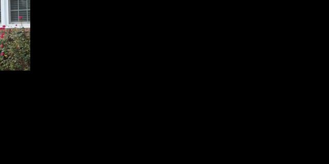 Laurel School District
