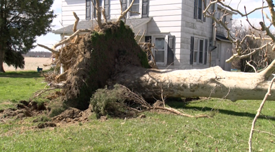 Cleanup underway in Ridgely after storm leaves damage, outages