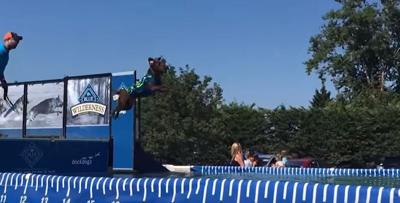 dockdogs