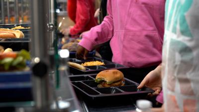 Blue Catfish Sandwich