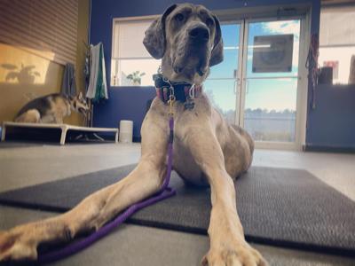 258105662_455992089203078_3196162444489352994_n