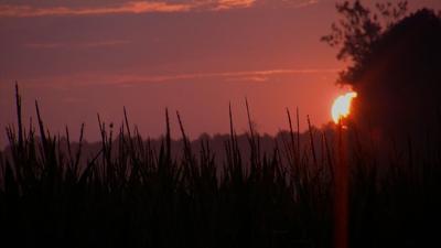 Travels With Charlie: “Gift of Sight”