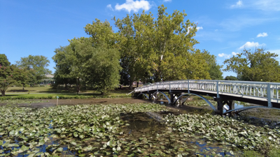 Salisbury City Park