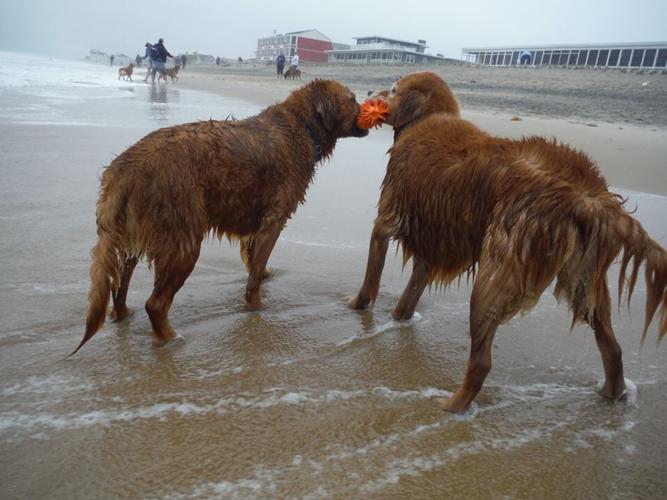 14446055_648593431981041_5844717317614172448_n