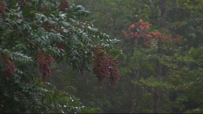Travels With Charlie: “A Rainy Spell Seems To Last Forever”