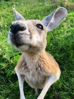 Barn Hill Preserve of Delaware