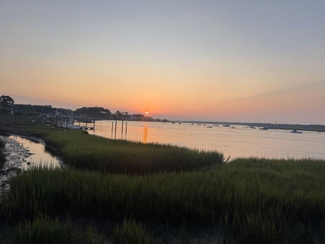 Photo Jul 30 2025, 6 16 27 AM.jpg