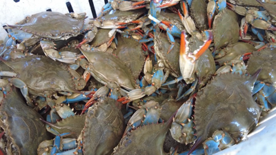 CRABS