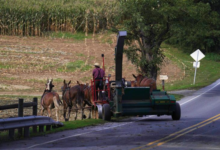 Measles-Amish Country