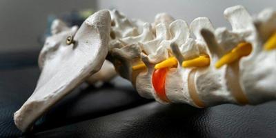 ReliefNow® Hamlin Featured in Music Observer for Its Non-Surgical Disc and Nerve Pain Solution Supporting Performers Across Florida
