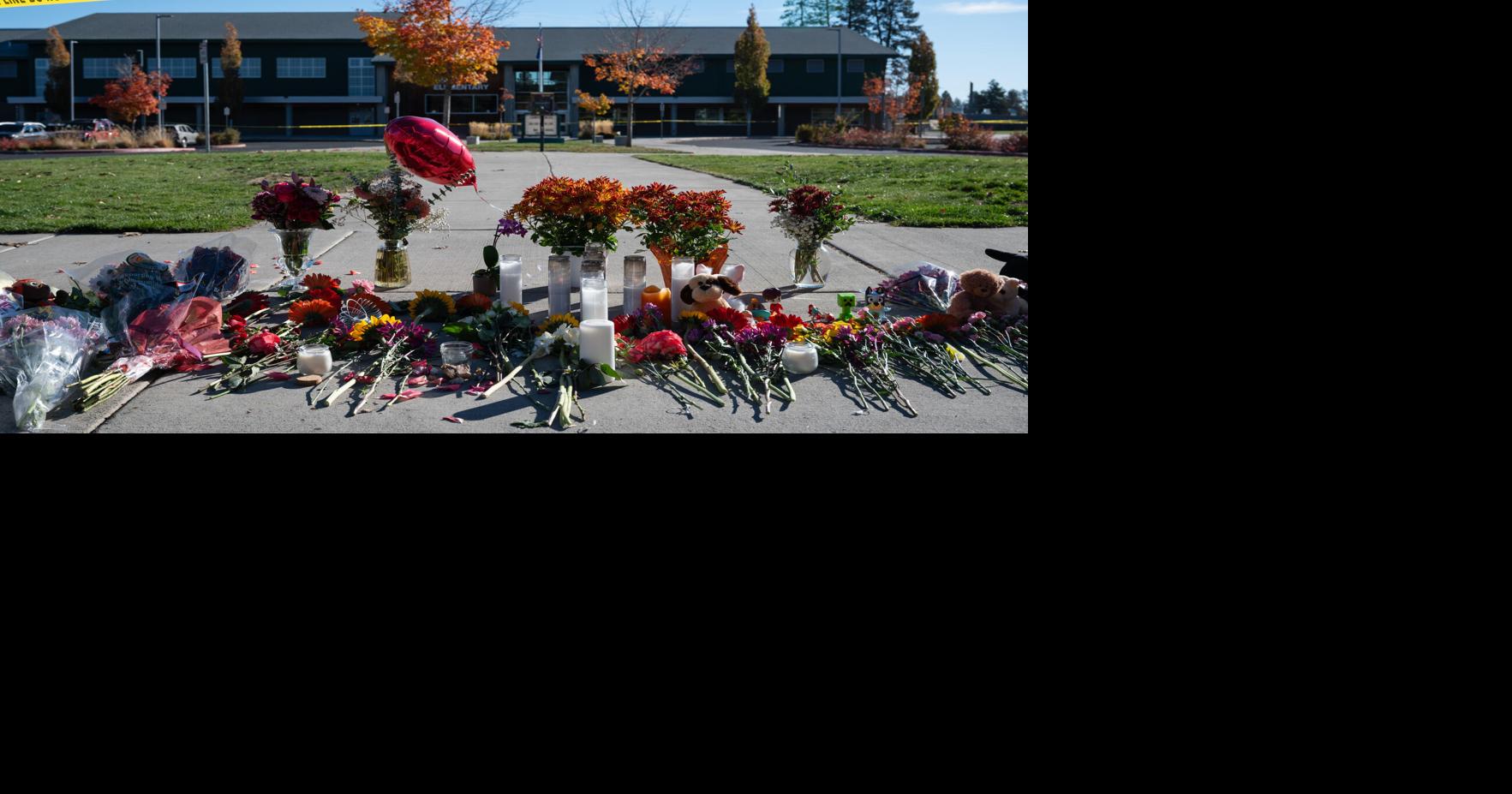 Oregon father is the latest armed civilian to confront a gunman in a US mass shooting