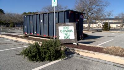 Ocean City Christmas Tree Drop-off