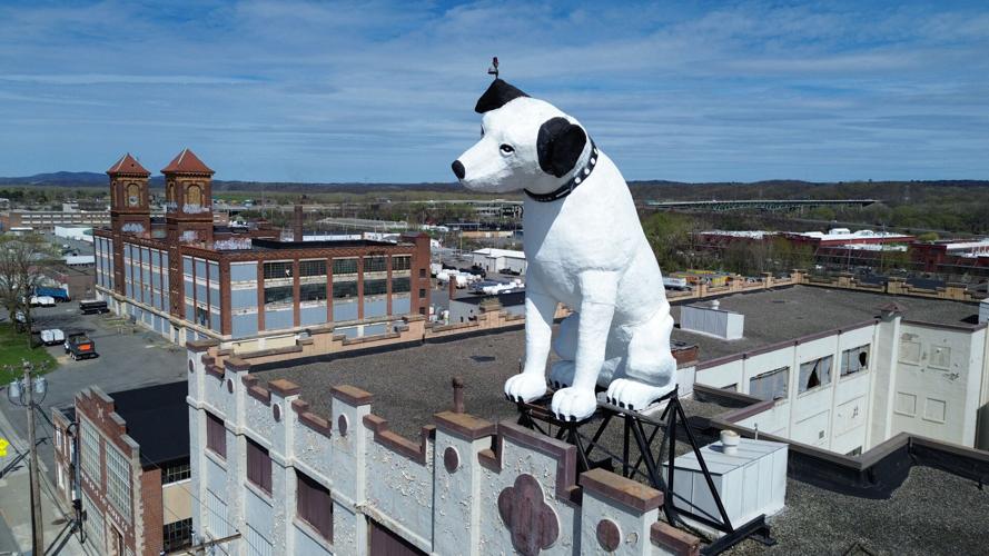 Giant Dog Statue