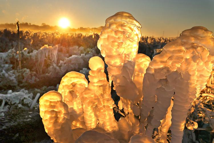 APTOPIX Winter Weather Florida