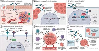 Bacteria may hold a cancer treatment clue