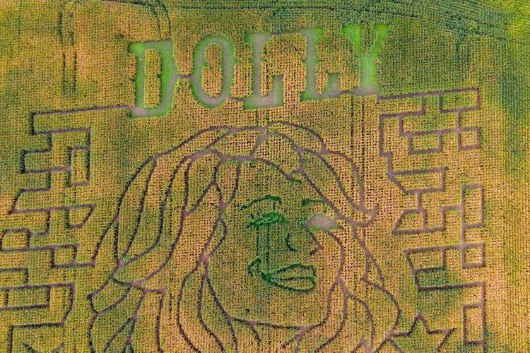 Dolly Parton Corn Maze