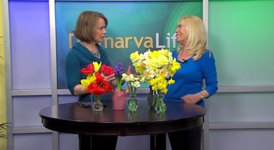 Spring Gardening   Thursday  April 16  2015   YouTube