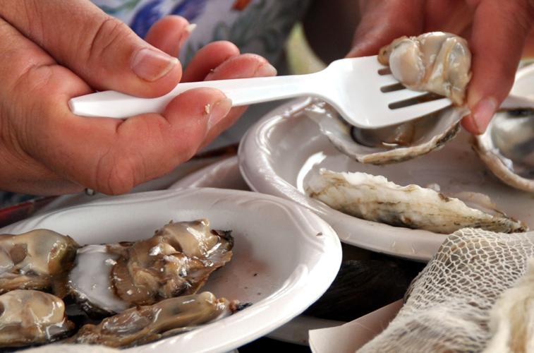 chincoteagueoysters