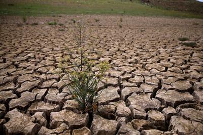 State Environmental Agency Says Drought is Possible in Maryland