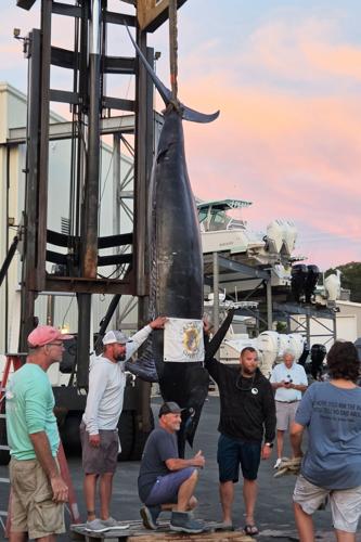 Giant Marlin