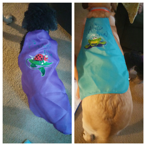 This is Abby wright and this is what my dogs Sadie and bandit this is there Halloween costume I live in hurlock,md☺