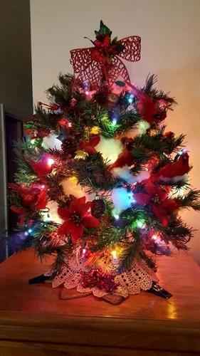 Phyllis Mosmiller Ocean City tree