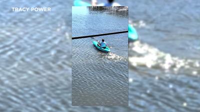 Kayaker