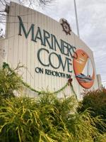 Shellfish Oysters Suffer from Sewage Spill