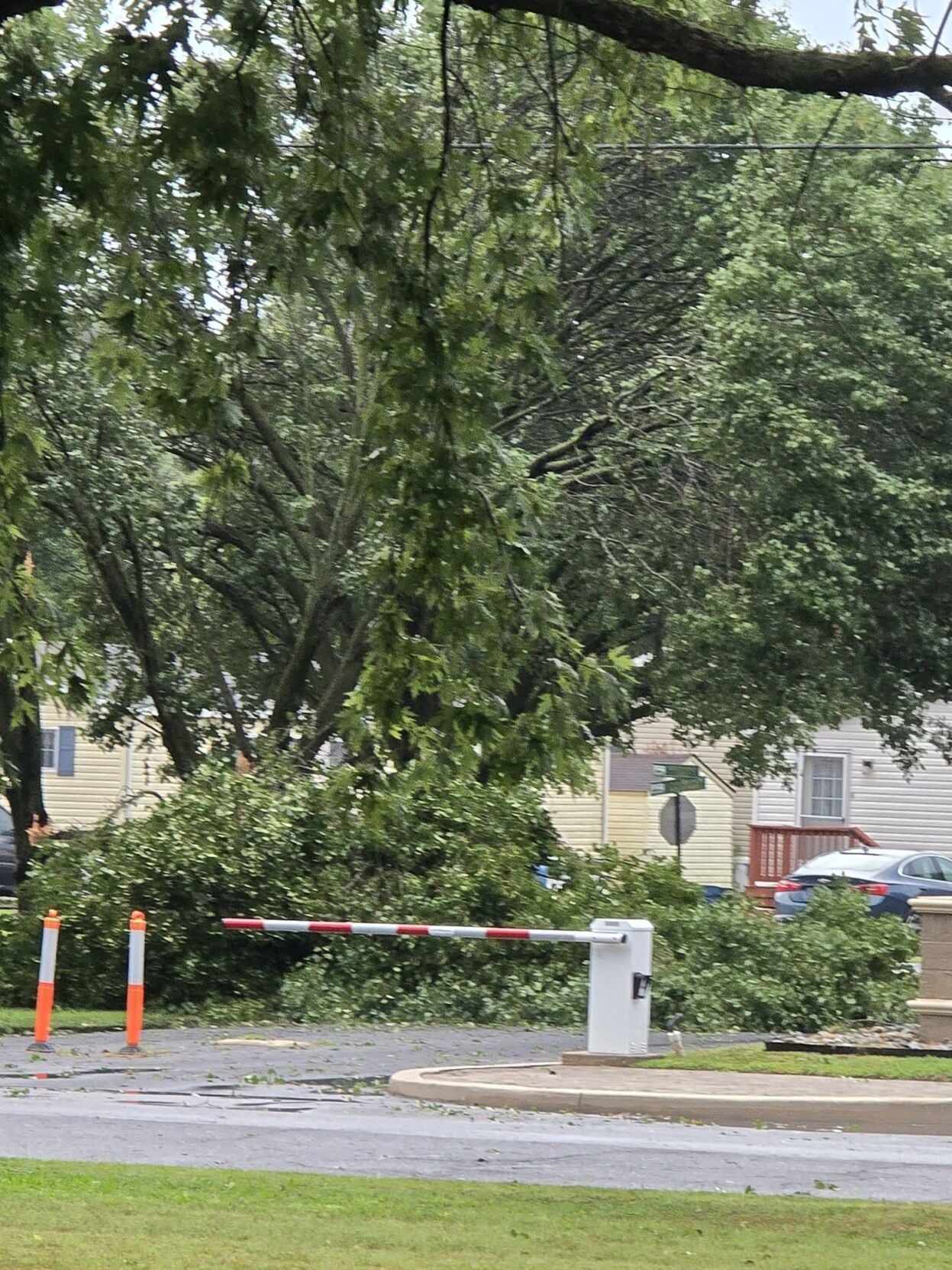 Seaford damage