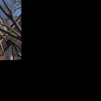 Governor Moore unveils proposed FY 2027 budget; Republicans raise concerns