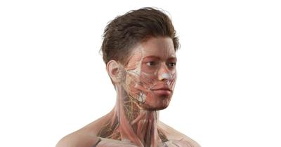 Atomedge Highlights Early Contribution to Groundbreaking AR Anatomy Education Initiative