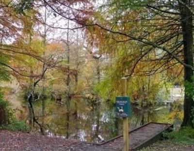 Trussum Pond Temporarily Closing