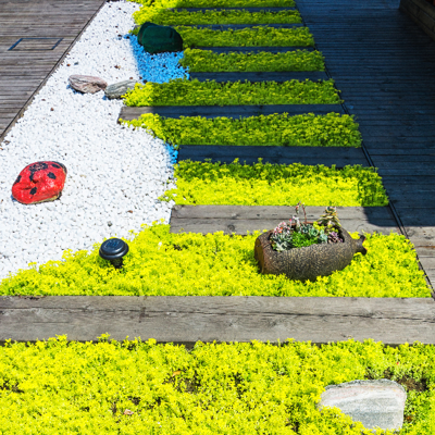 Taylor Anthony 365: Ponte Vedra Beach's Professional Landscaping Experts