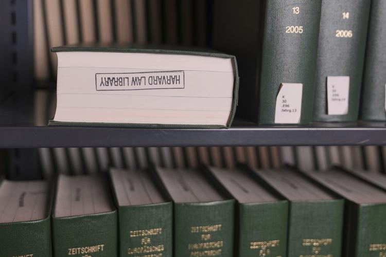 AI Data Libraries