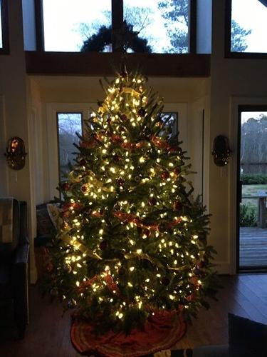 Kim Creasey, Pocomoke