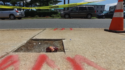 Organ Found On Sidewalk Outside of Peninsula Regional Medical Center
