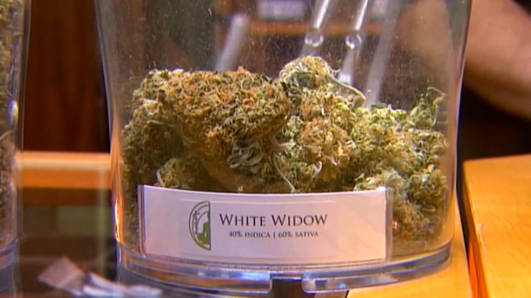 New Zoning Regulations Pot Shops in Oxford Latest News