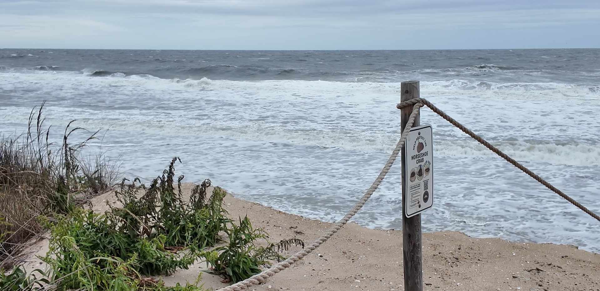 Powerful waves, high tides strip sand from Delaware beaches | Latest ...