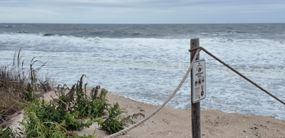 Steep cliff along Bethany Beach due to severe erosion from Northeastern winds and rough surf.