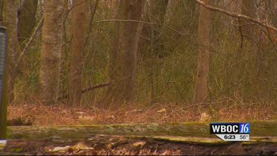 Travels With Charlie: “When Spring Peeks in Like a Nervous Cat…”